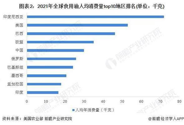 金龍魚講解員的說辭（金龍魚講解員的說辭示例）