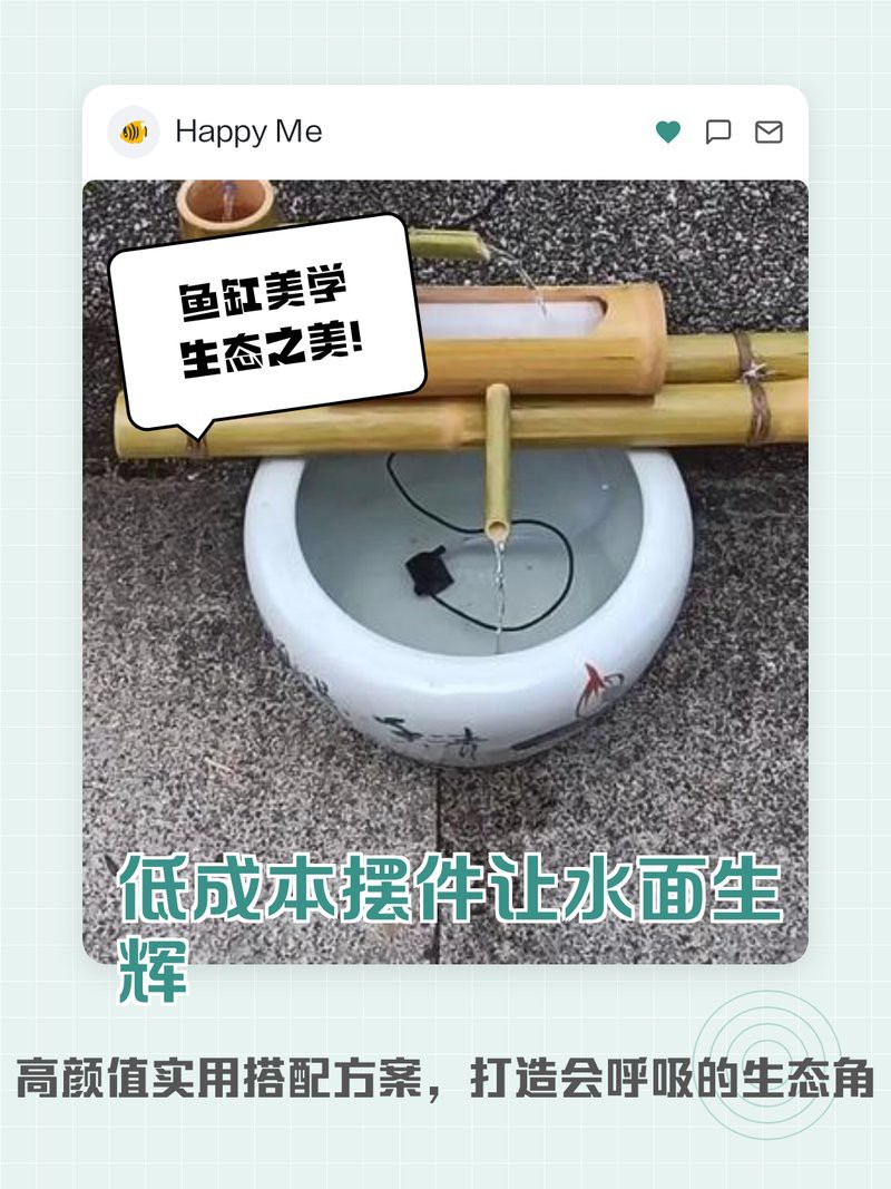推薦幾款適合魚缸裝飾的假龍龜