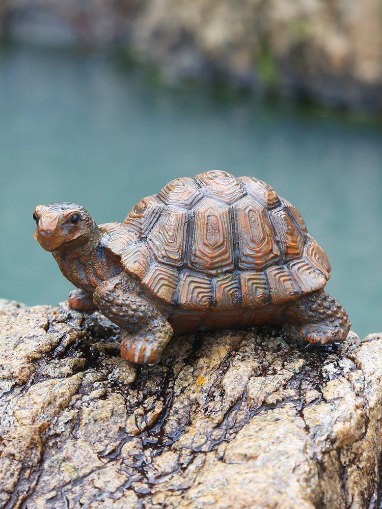 推薦幾款適合魚缸裝飾的假龍龜