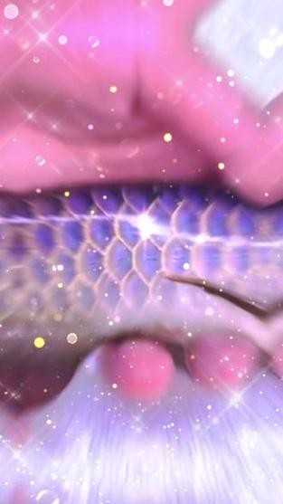 龍魚上色技巧圖解