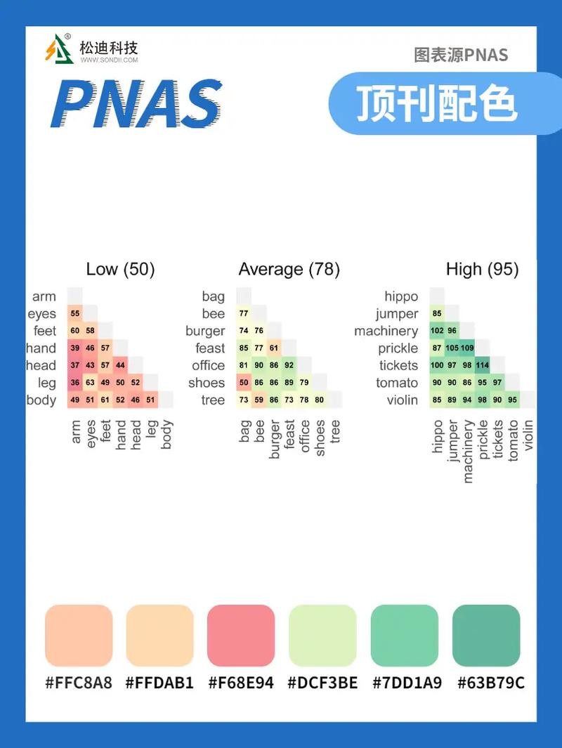 龍魚上色技巧圖解