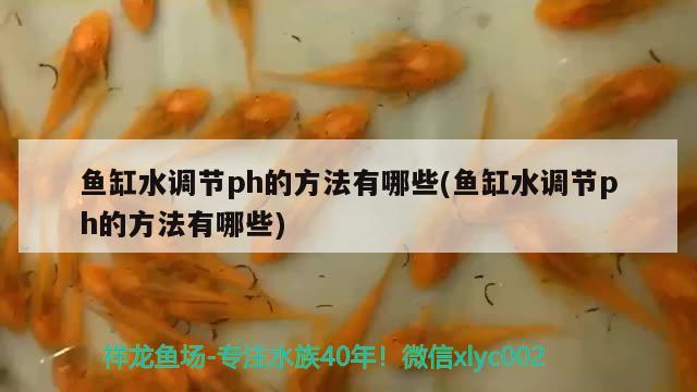 云南德露園藝工程有限公司(云南德露園藝工程有限公司硯山分公司) 全國水族館企業名錄 第1張 云南德露園藝工程有限公司(云南德露園藝工程有限公司硯山分公司) 云南德露園藝工程有限公司(云南德露園藝工程有限公司硯山分公司) 全國水族館企業名錄 第1張