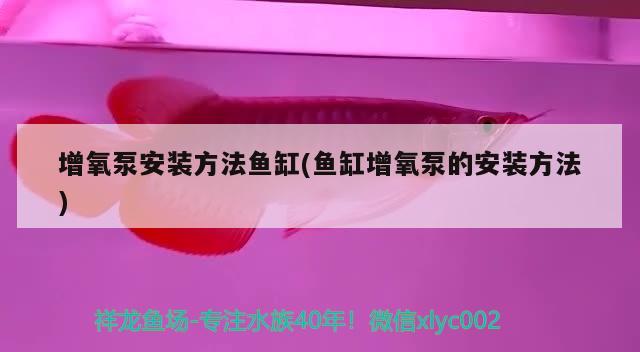 菏澤開發區思琦鮮花店