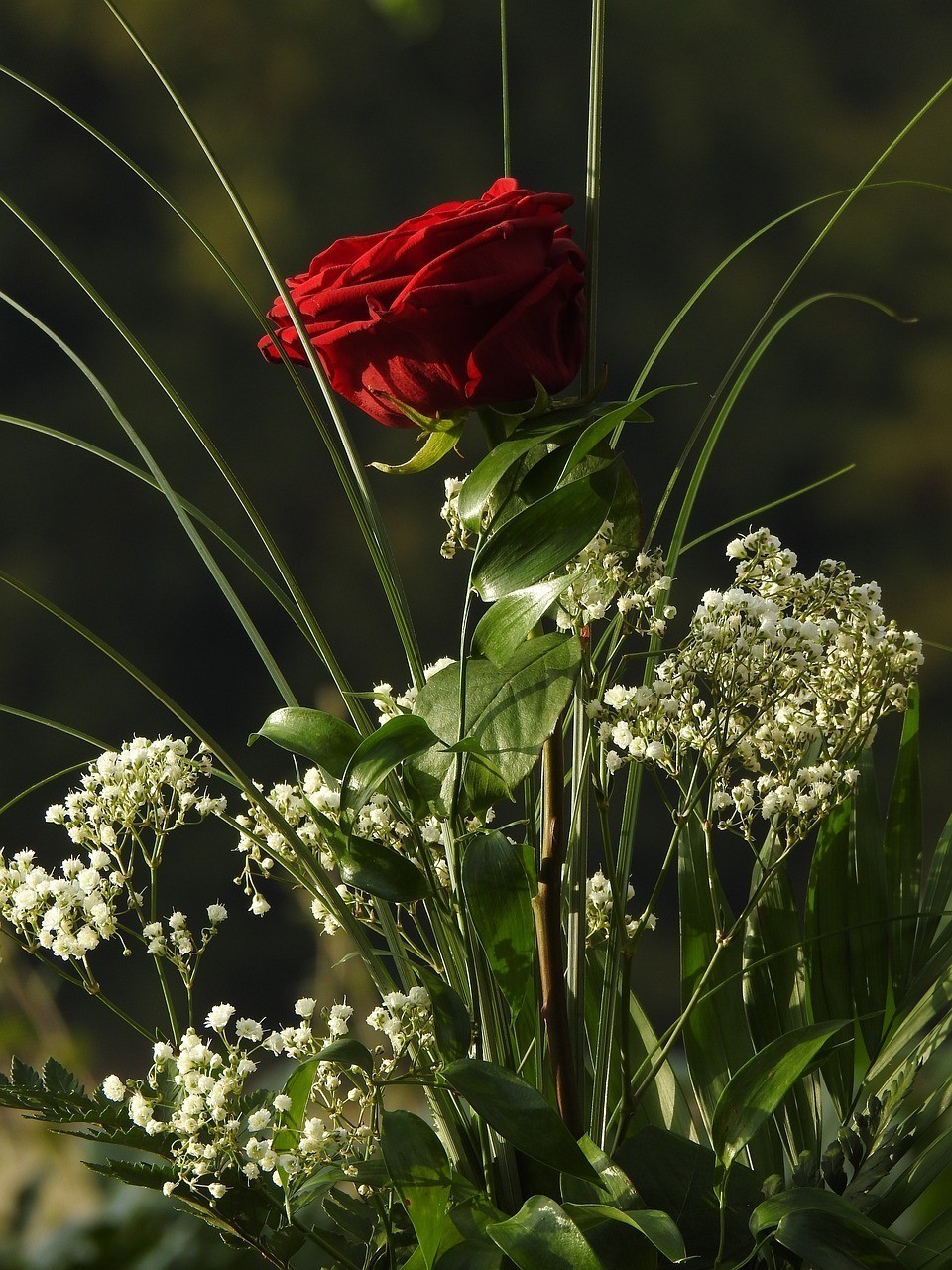 瀏陽市古港鎮夏花坊花店（瀏陽市古港鎮夏花坊花店電話） 瀏陽市古港鎮夏花坊花店（瀏陽市古港鎮夏花坊花店電話） 全國水族館企業名錄 第1張