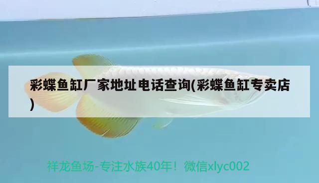 東興市湖邊水族店