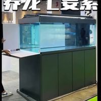 9條龍魚多大的魚缸比較好養活