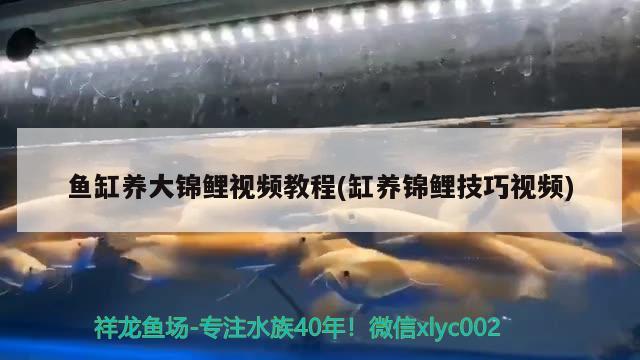 九三局直小國(guó)漁具店