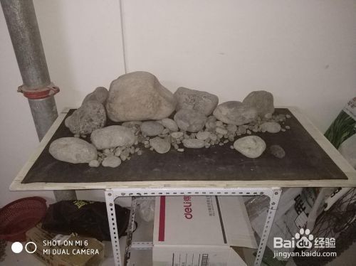 生態魚缸造景圖片欣賞，生態魚缸造景設計技巧 生態魚缸造景圖片欣賞，生態魚缸造景設計技巧 龍魚百科 第6張