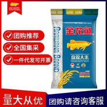 金龍魚珍珠米多少錢