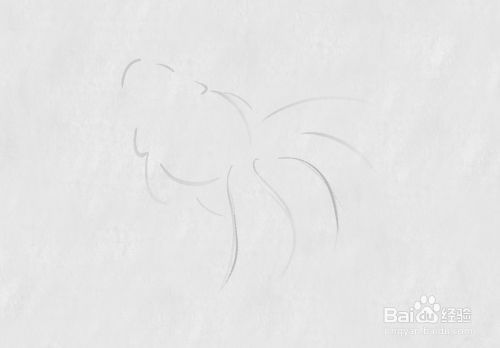水墨金龍魚畫法：水墨金龍魚畫法步驟和注意事項水墨金龍魚畫法步驟
