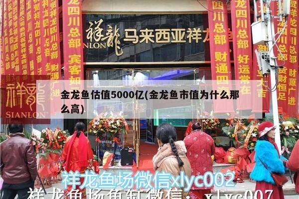 上海景安水族科技有限公司分公司（上海景安水族科技有限公司分公司有哪些）