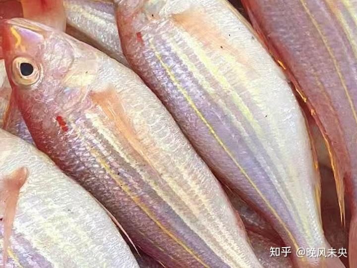 金線魚最好三個吃法