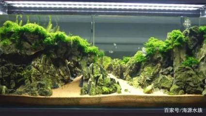 魚缸圖片 效果圖高清，客廳財位擺放魚缸指南