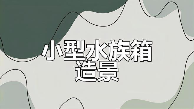 養(yǎng)龍魚可以造景嗎視頻教學(xué)