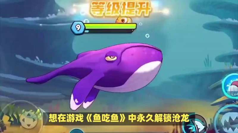 《魚吃魚》中滄龍餌的合成配方是什么？
