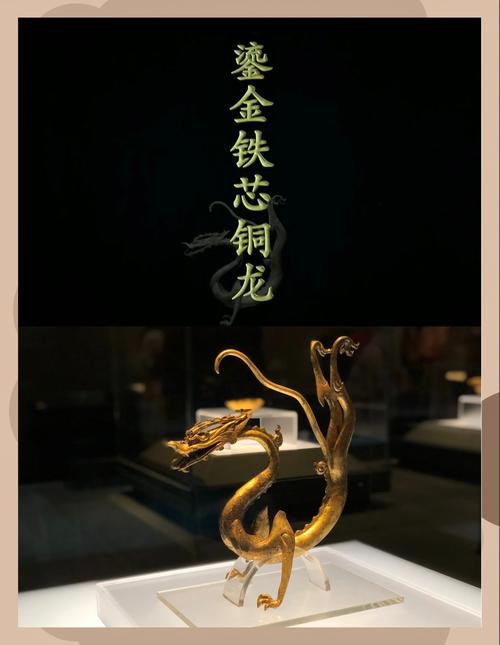 還有哪些著名的銅龍圖片？ 還有哪些著名的銅龍圖片？ 龍魚百科 第10張