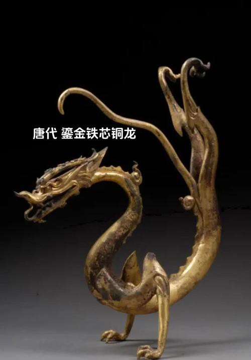 還有哪些著名的銅龍圖片？ 還有哪些著名的銅龍圖片？ 龍魚百科 第9張
