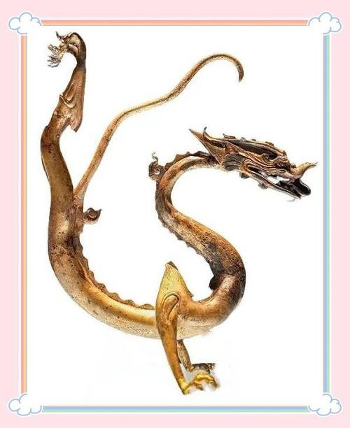 還有哪些著名的銅龍圖片？ 還有哪些著名的銅龍圖片？ 龍魚百科 第21張