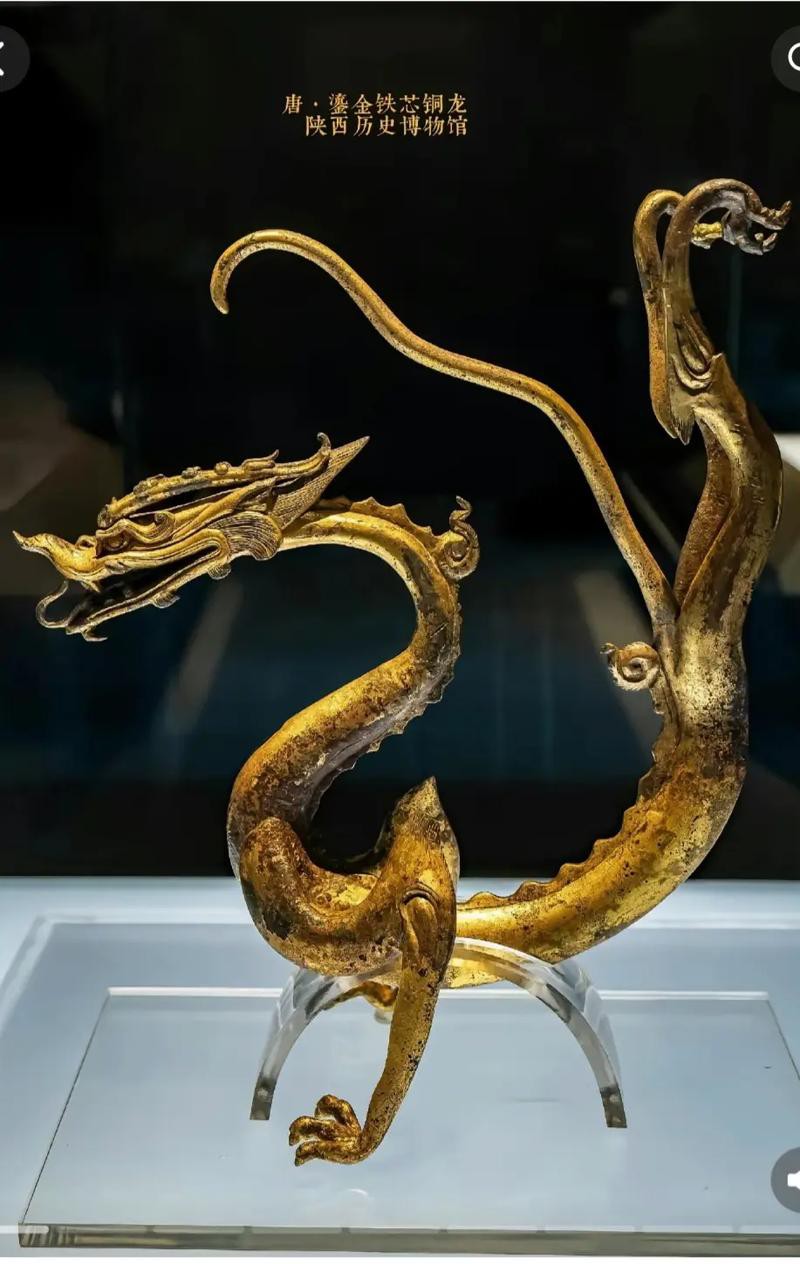 還有哪些著名的銅龍圖片？ 還有哪些著名的銅龍圖片？ 龍魚百科 第7張