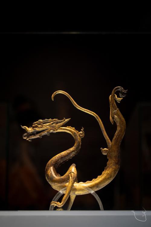 還有哪些著名的銅龍圖片？ 還有哪些著名的銅龍圖片？ 龍魚百科 第26張