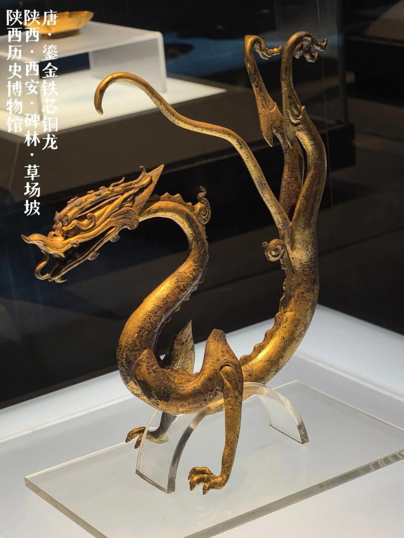 還有哪些著名的銅龍圖片？ 還有哪些著名的銅龍圖片？ 龍魚百科 第1張