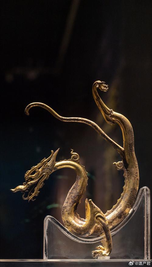 還有哪些著名的銅龍圖片？ 還有哪些著名的銅龍圖片？ 龍魚百科 第22張