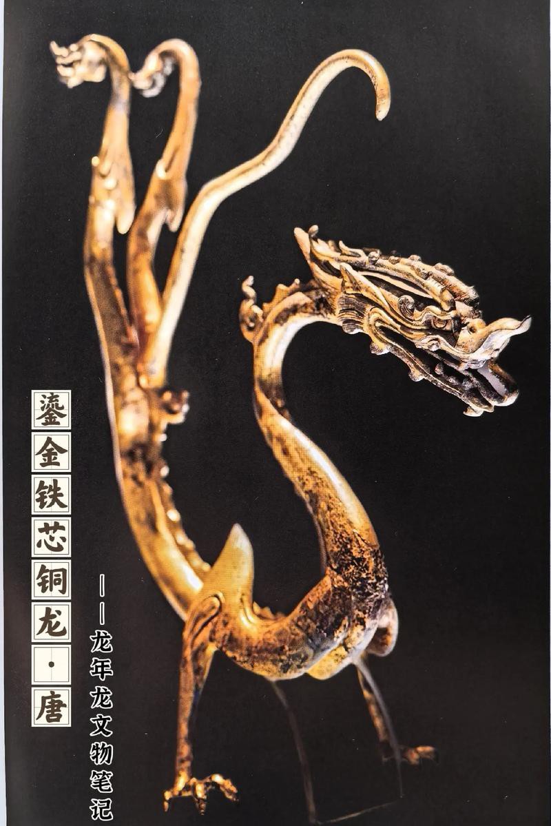 還有哪些著名的銅龍圖片？ 還有哪些著名的銅龍圖片？ 龍魚百科 第13張