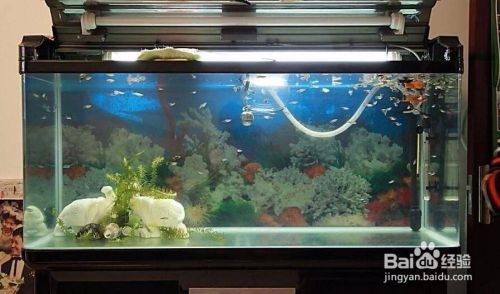 垣曲縣新城茗品水族店（垣曲縣新城茗品水族店電話）