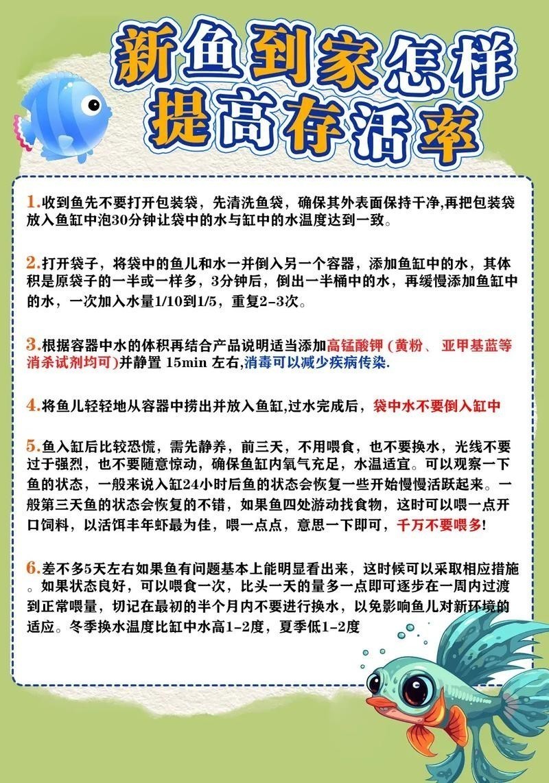 銀龍魚剛入缸趴底怎么辦 銀龍魚剛入缸趴底怎么辦 龍魚百科 第2張