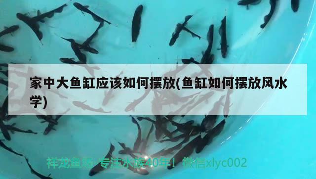 象山魚(yú)家傲花店