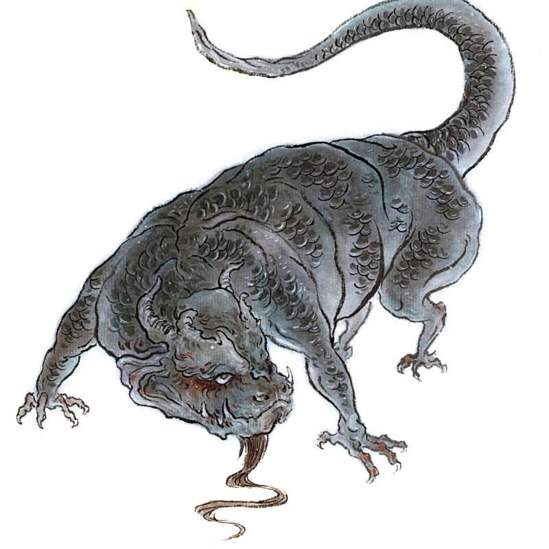 為什么叫龍魚和龍魚