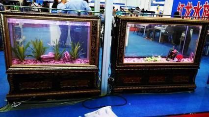 2024上海水族展會祥龍魚場：2024年上海國際水族展會祥龍魚場2024年上海國際水展