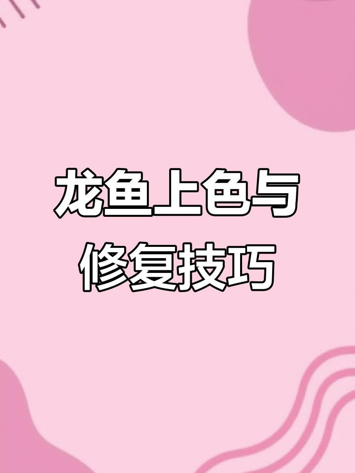 過背金龍魚發色需要哪些食物 過背金龍魚發色需要哪些食物 龍魚百科 第5張