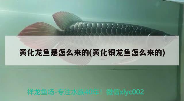 <strong><mark>昆山</mark></strong>市巴城鎮素源景水族店