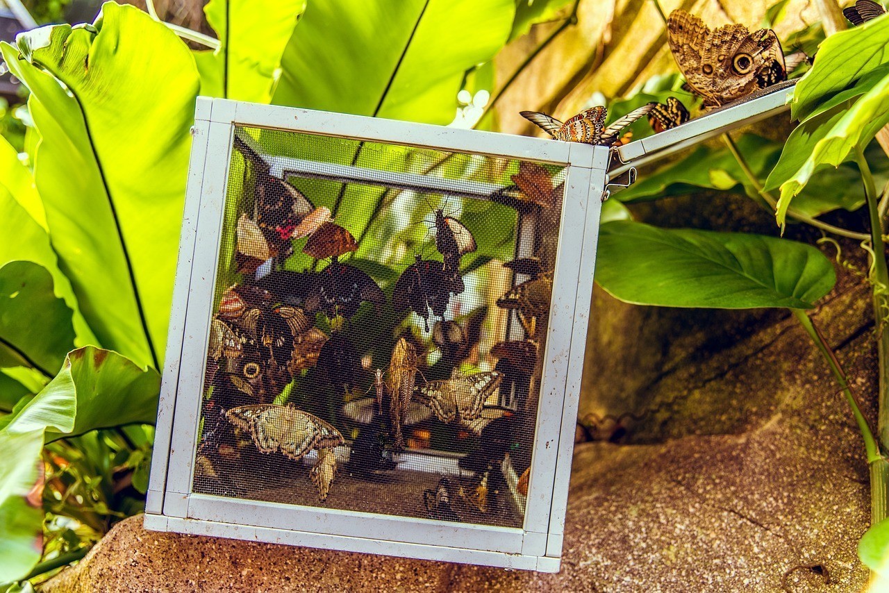 溆浦縣龍潭溫馨花屋 溆浦縣龍潭溫馨花屋 全國水族館企業名錄 第4張