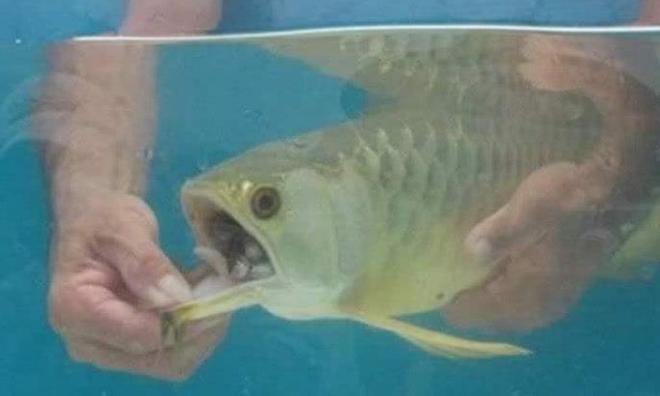 <strong><mark>亳州</mark></strong>市譙城區鯤鵬水族館（<strong><mark>亳州</mark></strong>市譙城區鯤鵬水族館電話）