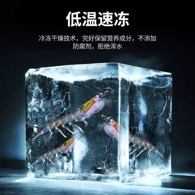 龍魚一個月不吃凍蝦了：龍魚一個月不吃凍蝦了怎么辦 龍魚一個月不吃凍蝦了：龍魚一個月不吃凍蝦了怎么辦 龍魚百科 第3張