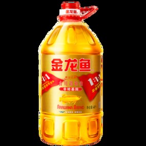 金龍魚陳波