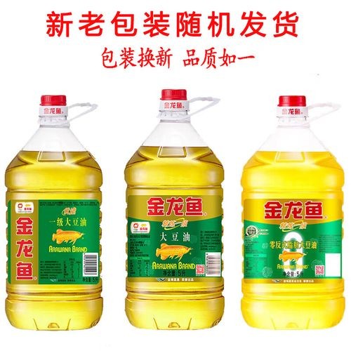金龍魚陳波