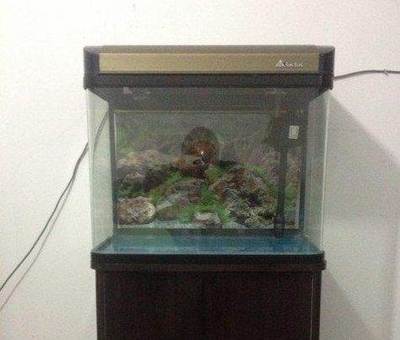 武威市涼州區越躍躍水族館店（甘肅武威越洲置業有限公司）