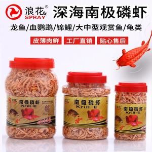 成年銀龍魚多久喂一次龜糧好（成年銀龍魚多久喂一次最合理銀龍魚多久喂一次）