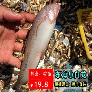 東海小白龍魚的做法（東海小白龍豆腐魚的做法）