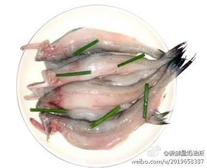東海小白龍魚的做法（東海小白龍豆腐魚的做法）