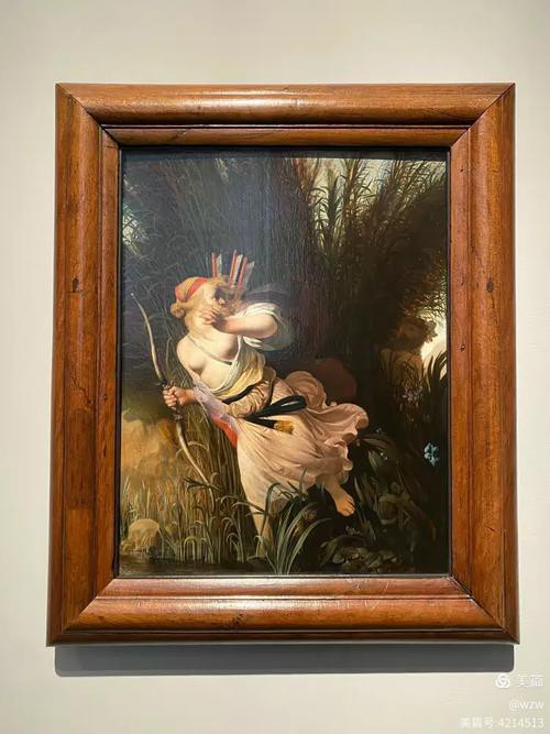 哪里可以找到這些插畫？