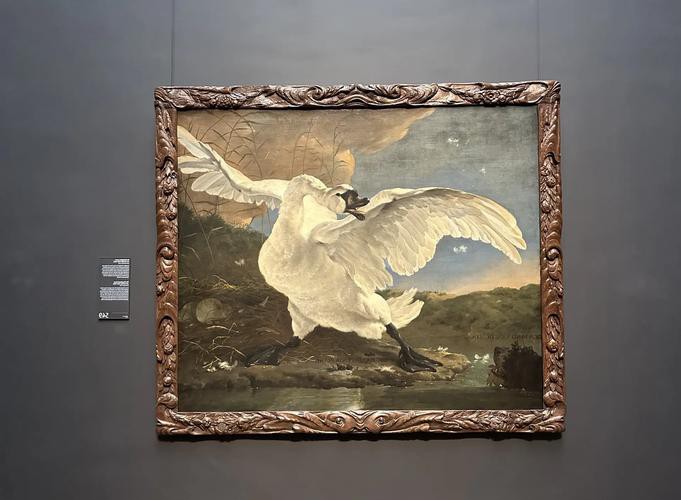 哪里可以找到這些插畫？