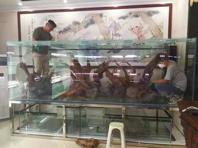 養龍魚的魚缸是否可以放火山石：養龍魚的魚缸可以放火山石嗎