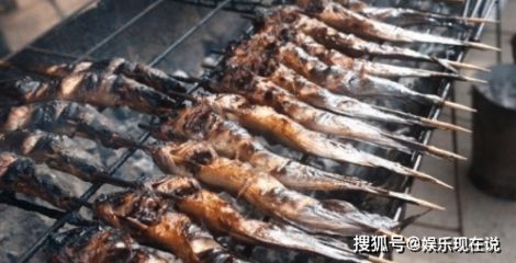 銀板魚性成熟期食譜調整方法：銀板魚在性成熟期的食譜調整需考慮到它們的生活習性和特殊需求