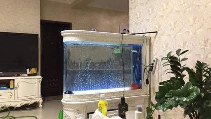 龍魚的養殖數量主要取決于魚缸的大小，魚缸里適合養幾條魚：一個魚缸里適合養幾條龍魚
