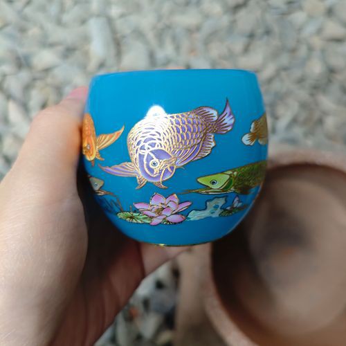 藍龍魚的圖片大全