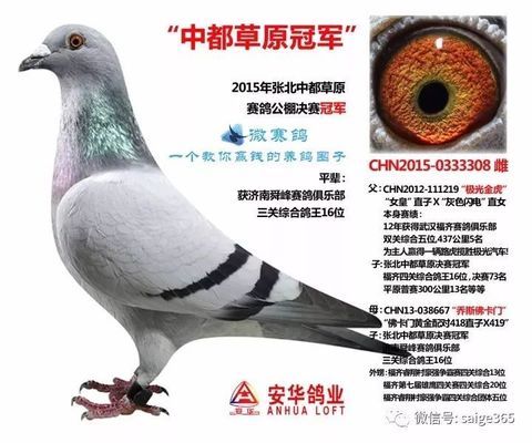 營口市<strong><mark>站前</mark></strong>區浣雨水族店（營口市<strong><mark>站前</mark></strong>區浣雨水族店電話）